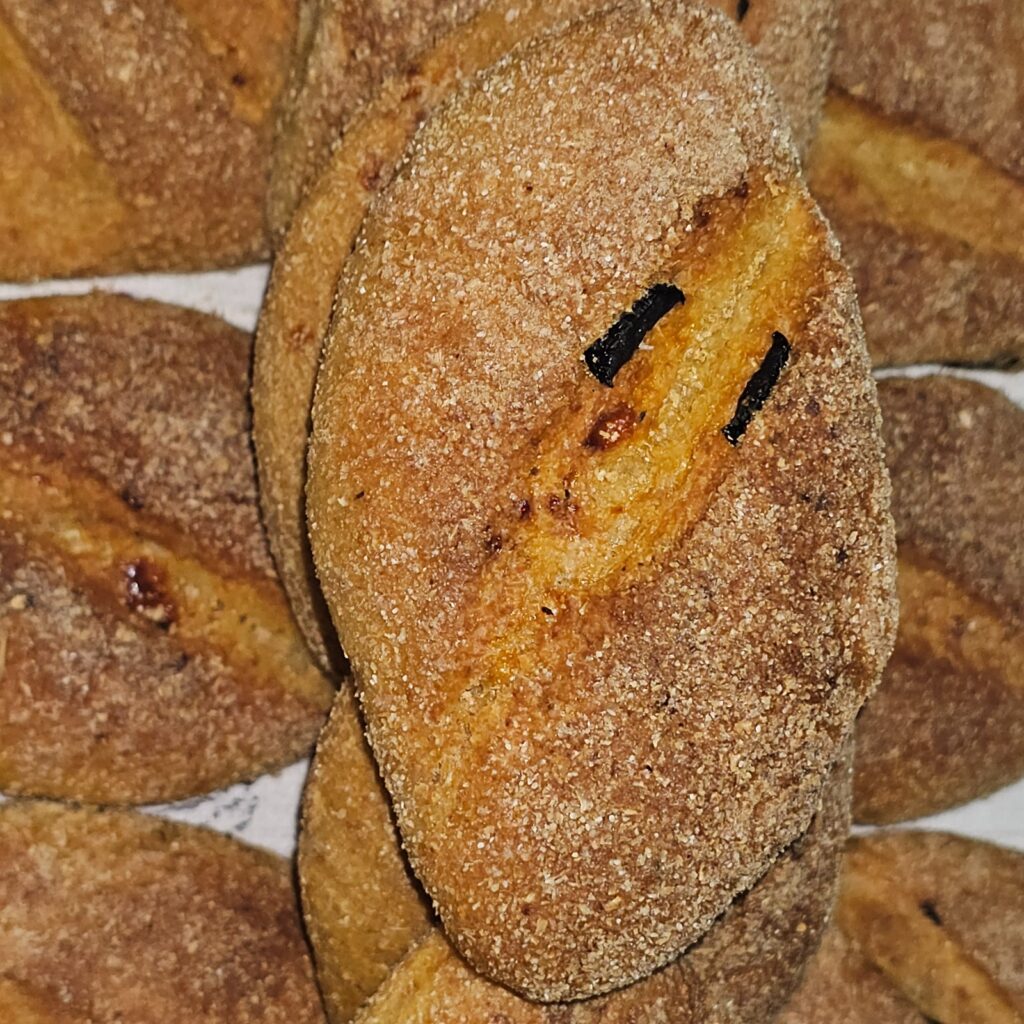 Rich whole wheat bread with black olives and aged cheese